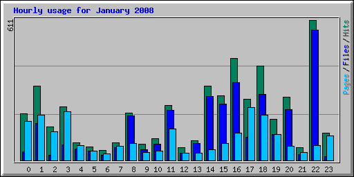 Hourly usage for January 2008
